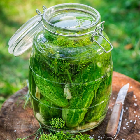 Prerecorded Class - Pickling