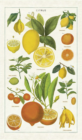 Cavallini & Co. Tea Towel - Citrus