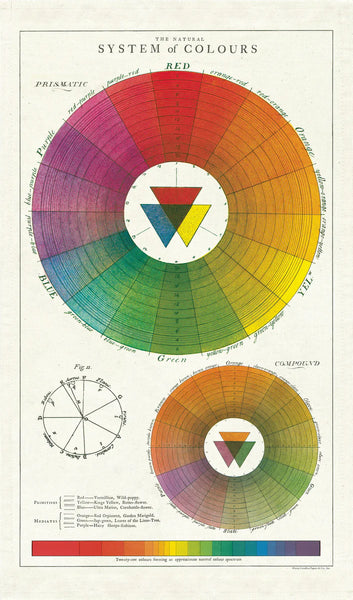 Cavallini & Co. - Tea Towel - Color Wheel