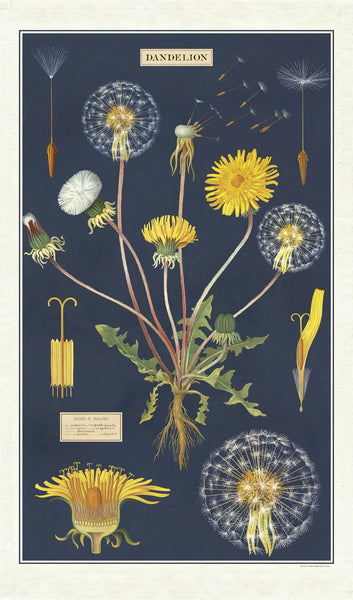 Cavallini & Co. Tea Towel - Dandelion