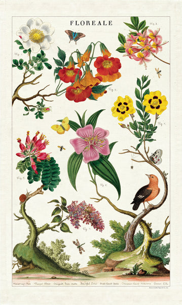Cavallini & Co. - Tea Towel - Floreale
