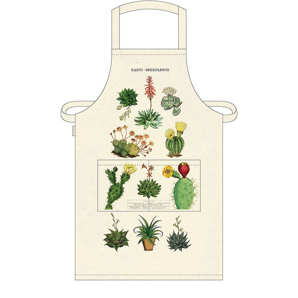 Cavallini & Co. - Apron - Succulents