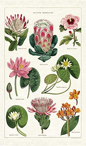 Cavallini & Co. Tea Towel - Tropical Plants