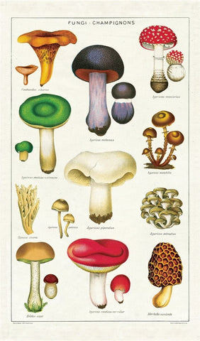 Cavallini & Co. - Tea Towel - Mushrooms