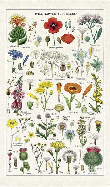 Cavallini & Co. Tea Towel - Wildflowers