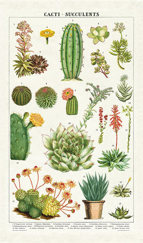 Cavallini & Co. Tea Towel - Succulents