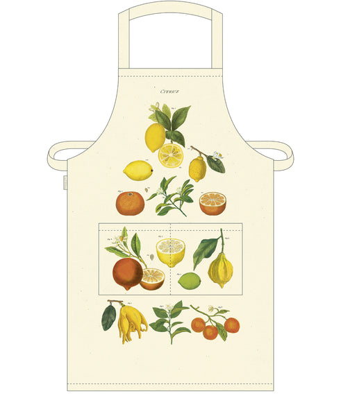 Cavallini & Co. Apron - Citrus