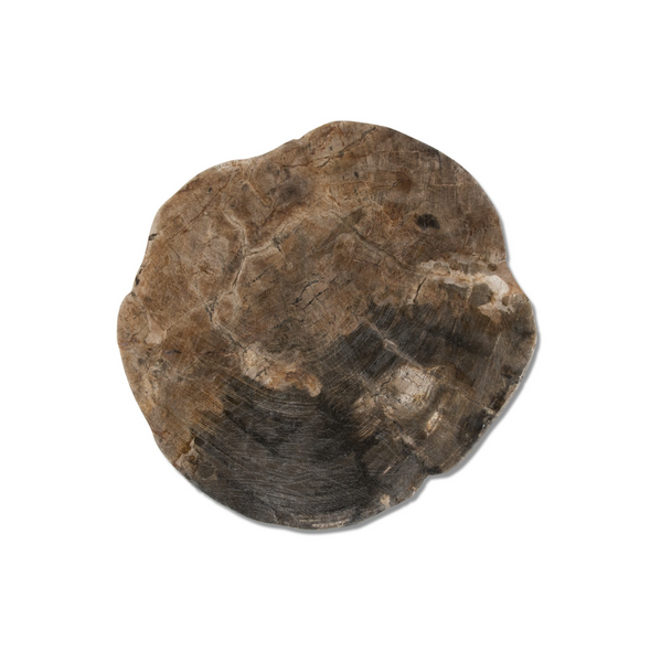Montes Doggett Petrified Wood Trivet w/ Polished Edge