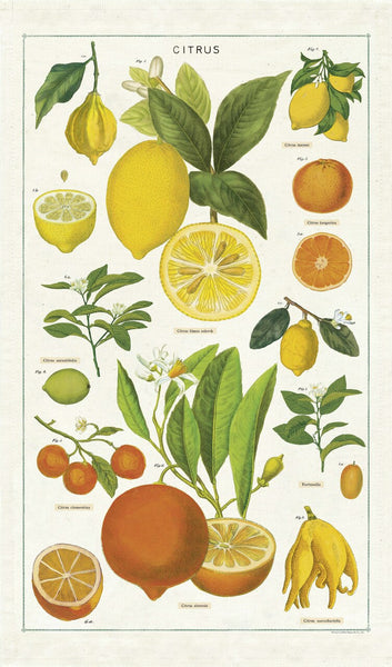 Cavallini & Co. Tea Towel - Citrus