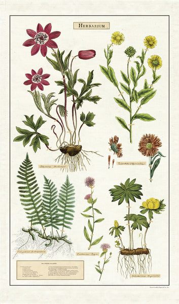 Cavallini & Co. Tea Towel - Herbarium