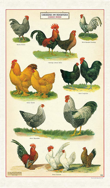 Cavallini & Co. - Tea Towel - Chickens